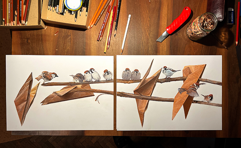 Spatz1-2-mitStiften800px.jpg