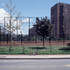 28ny04-radl-braun-fence-001.jpeg